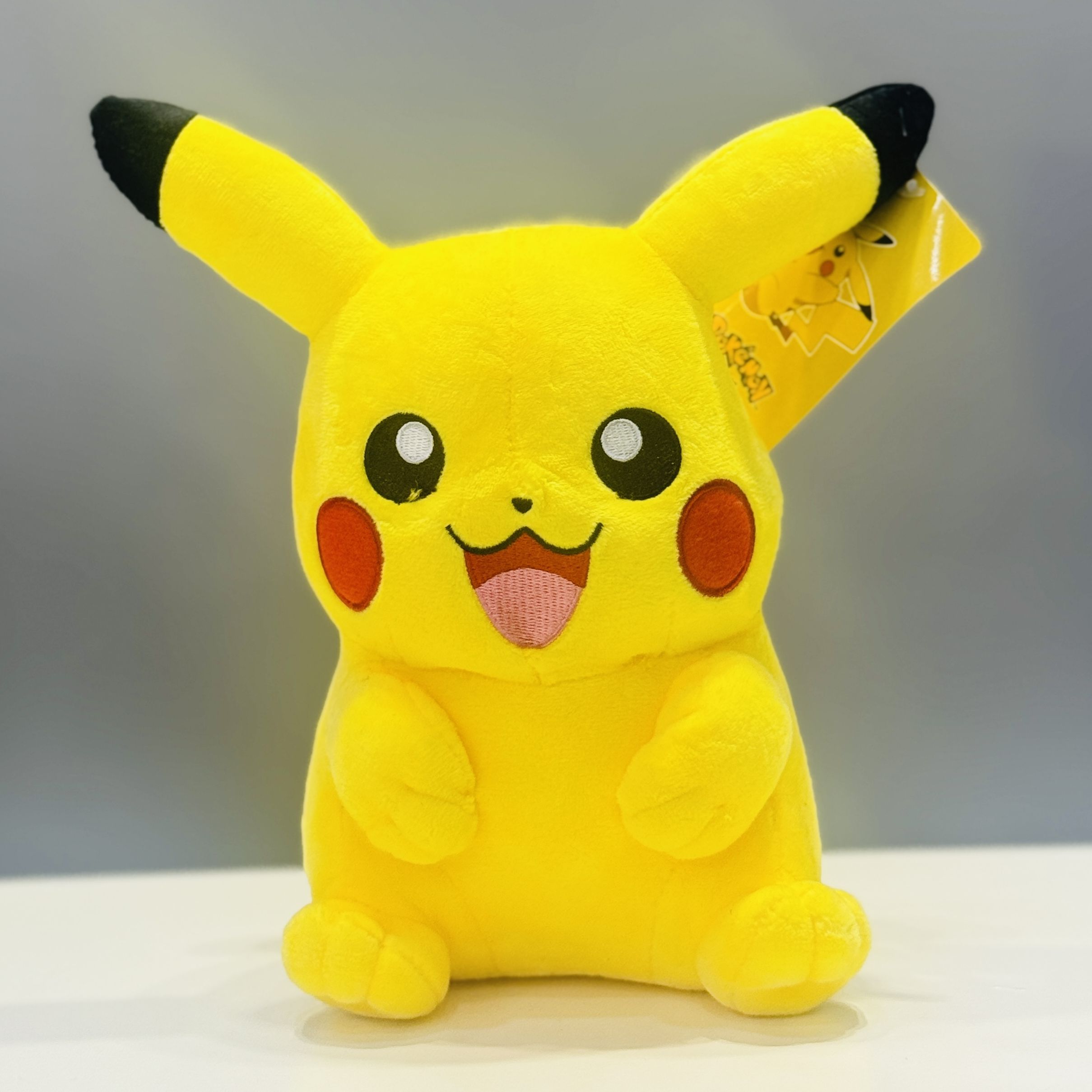 Pelúcia Pokemon
